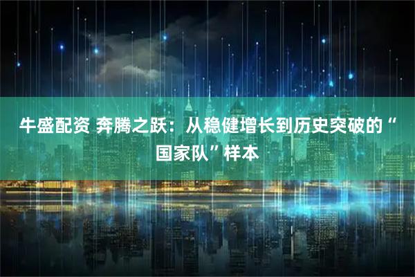 牛盛配资 奔腾之跃：从稳健增长到历史突破的“国家队”样本