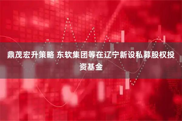 鼎茂宏升策略 东软集团等在辽宁新设私募股权投资基金